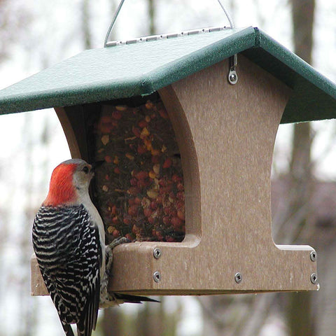 Bird Feeders and Accessories - inthegardenandmore.com