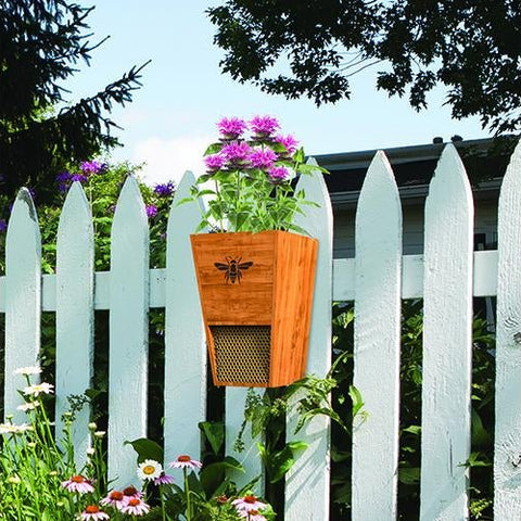 Butterfly and Bee Houses and Feeders - inthegardenandmore.com