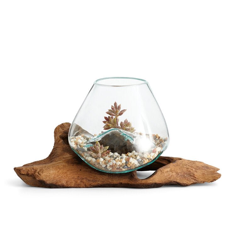 12” Long Hand Blown Molten Glass and Teak Wood Root Sculptured Terrarium / Vase - inthegardenandmore.com