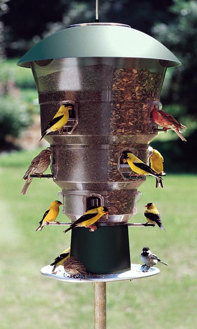 12 Station Squirrel Proof Bird Feeder – Made in the USA - inthegardenandmore.com