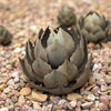 Agave Artichoke Succulent Metal Yard Art Sculpture - inthegardenandmore.com