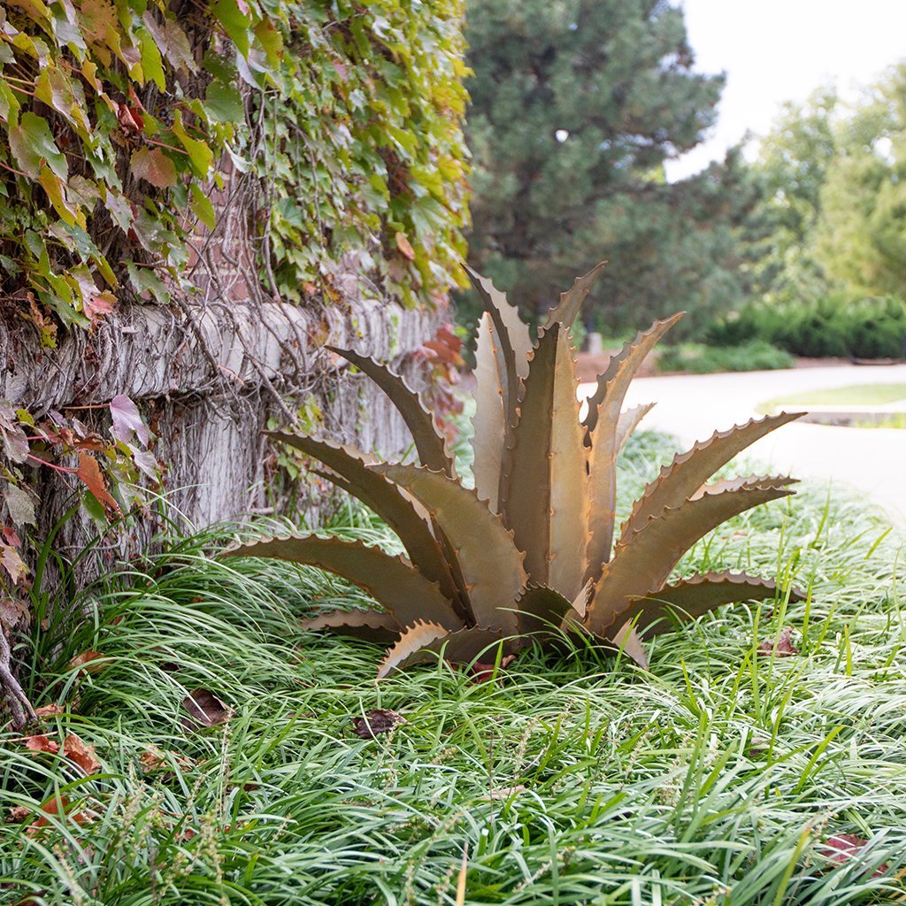 Agave Sawtooth Succulent Metal Yard Art Sculpture - inthegardenandmore.com