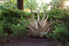 Agave Sharkskin Succulent Metal Yard Art Sculpture - inthegardenandmore.com