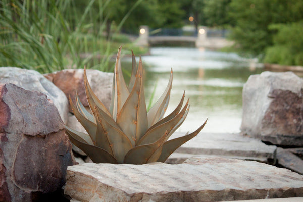 Agave Sharkskin Succulent Metal Yard Art Sculpture - inthegardenandmore.com