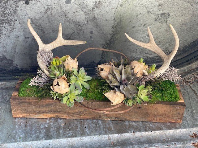 Antler and Succulent Tabletop Centerpiece Decor - inthegardenandmore.com