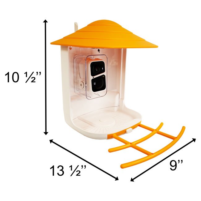 Beak and View Bird Feeder with Camera - inthegardenandmore.com