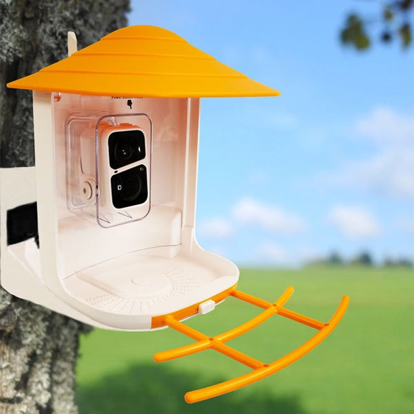 Beak and View Bird Feeder with Camera - inthegardenandmore.com