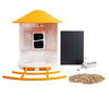 Beak and View Bird Feeder with Camera - inthegardenandmore.com