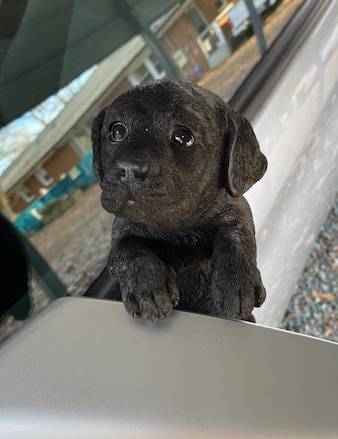 Black Labrador Hanging Indoor Outdoor Puppy Statue - inthegardenandmore.com