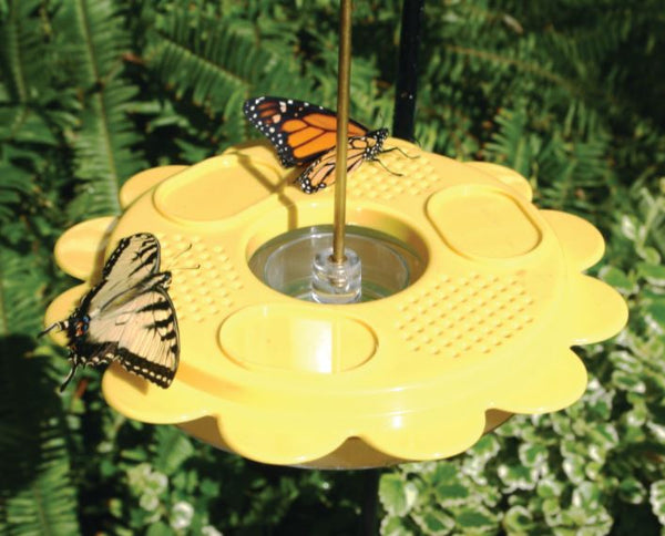 Butterfly Fruit and Nectar Feeder with Nectar - inthegardenandmore.com