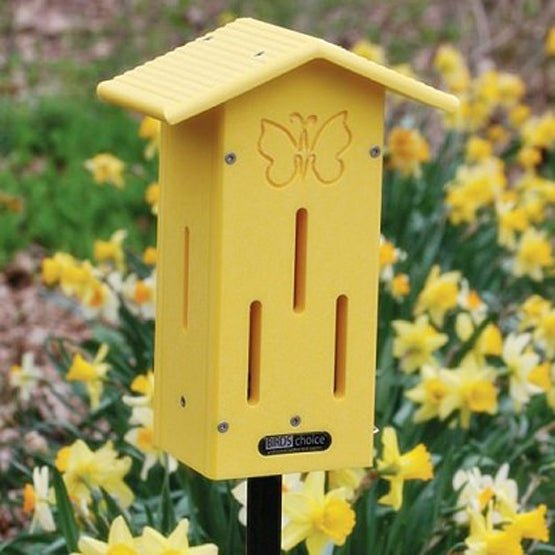 Butterfly Fruit and Nectar Feeder with Nectar - inthegardenandmore.com