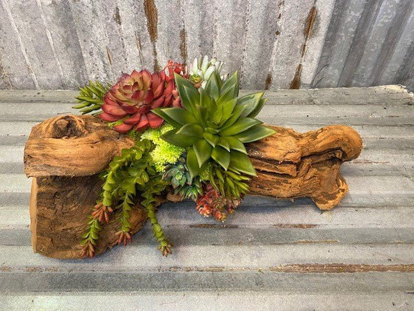 Cacti Succulent Log Tabletop Centerpiece Decor - inthegardenandmore.com