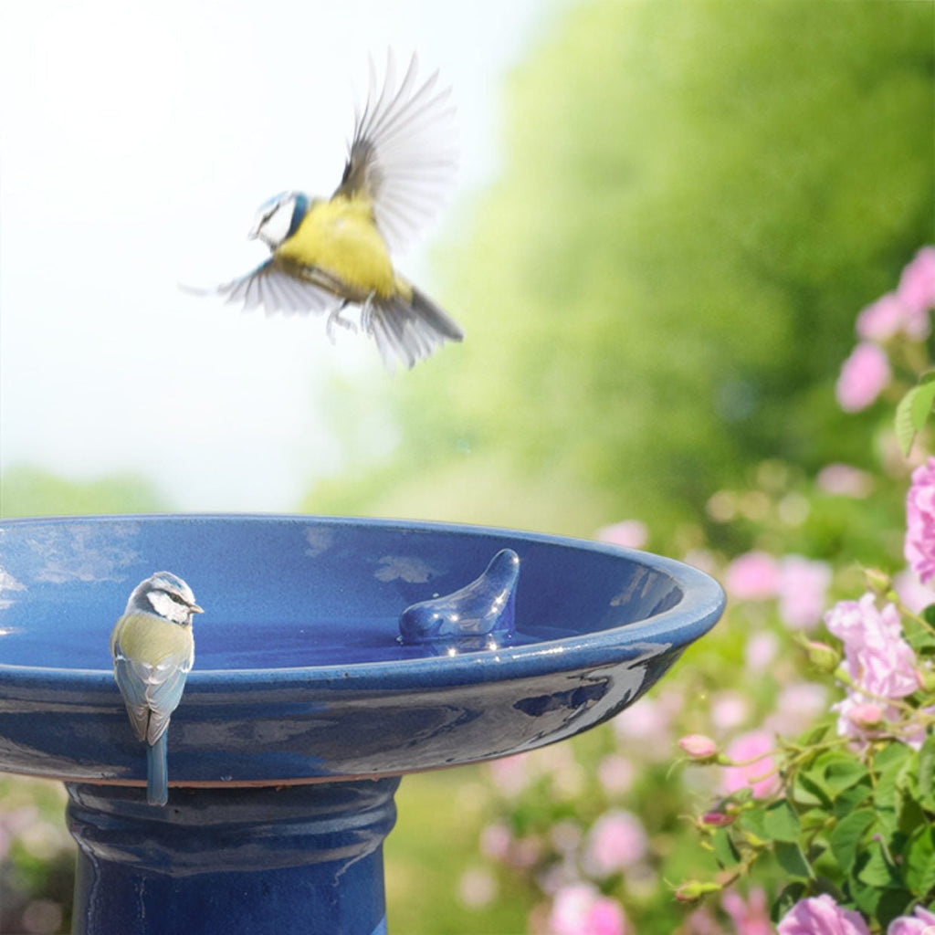 Cobalt Blue High Gloss Ceramic Birdbath Set - inthegardenandmore.com