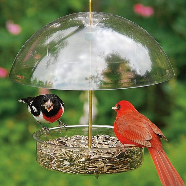 Domed Multi - use Seed Saver Bird Feeder - inthegardenandmore.com