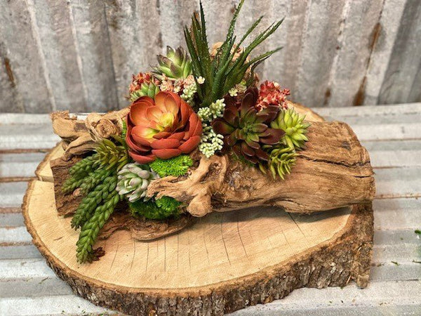 Echeveria Succulent Log Tabletop Centerpiece Decor - inthegardenandmore.com