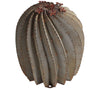 Fishhook Barrel Cactus Metal Yard Art Sculpture - inthegardenandmore.com