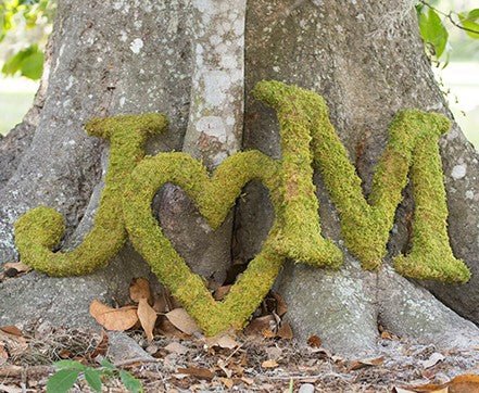 Fresh Moss Indoor Outdoor Door and Wall Art Letters - inthegardenandmore.com