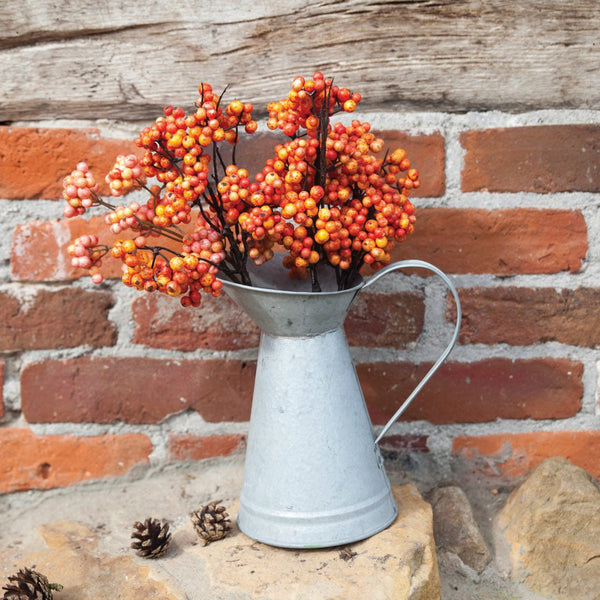 Galvanized Metal Duck Mouth Watering Can - inthegardenandmore.com