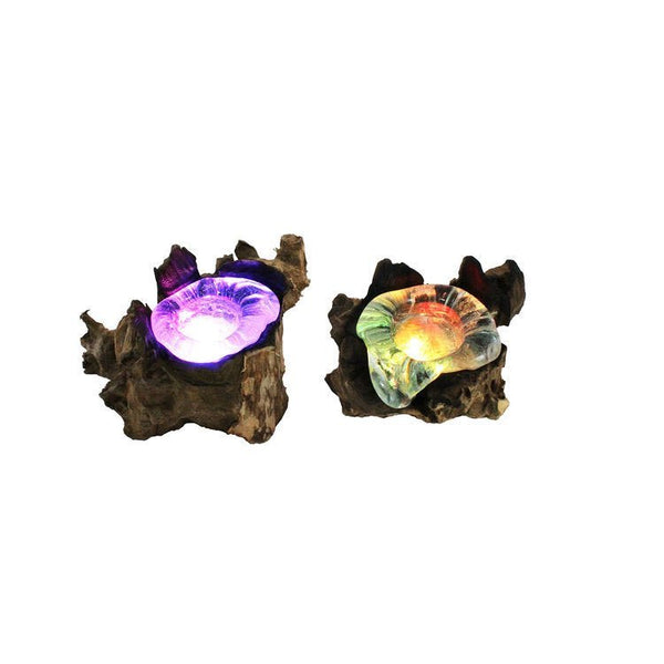 Hand Blown Molten Glass and Wood Root Illuminating Candle Holders (Set of 2) - inthegardenandmore.com