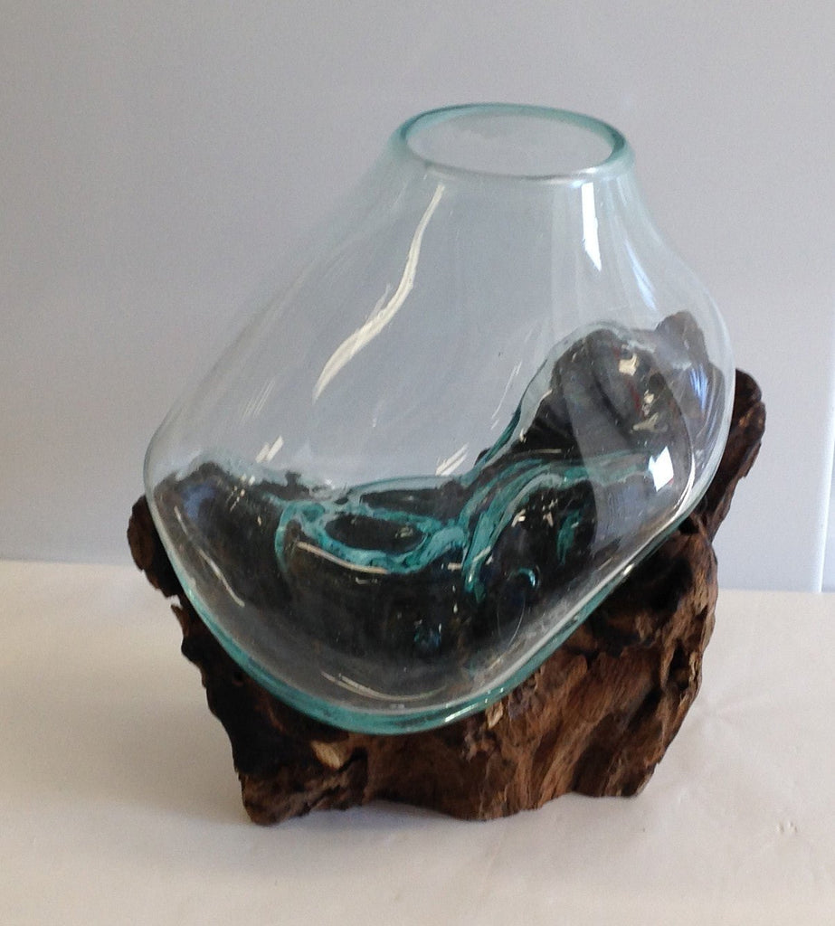 Hand Blown Molten Glass and Wood Root Sculptured Terrarium / Vase / Fish Bowl (10x8”) - inthegardenandmore.com