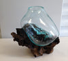 Hand Blown Molten Glass and Wood Root Sculptured Terrarium / Vase / Fish Bowl (10x8”) - inthegardenandmore.com