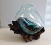 Hand Blown Molten Glass and Wood Root Sculptured Terrarium / Vase / Fish Bowl - inthegardenandmore.com