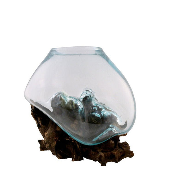 Hand Blown Molten Glass and Wood Root Sculptured Terrarium / Vase / Fish Bowl - inthegardenandmore.com