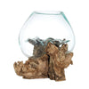 Hand Blown Molten Glass and Wood Root Sculptured Terrarium / Vase / Fish Bowl - inthegardenandmore.com