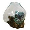 Hand Blown Molten Glass and Wood Root Sculptured Terrarium / Vase / Fish Bowl - inthegardenandmore.com