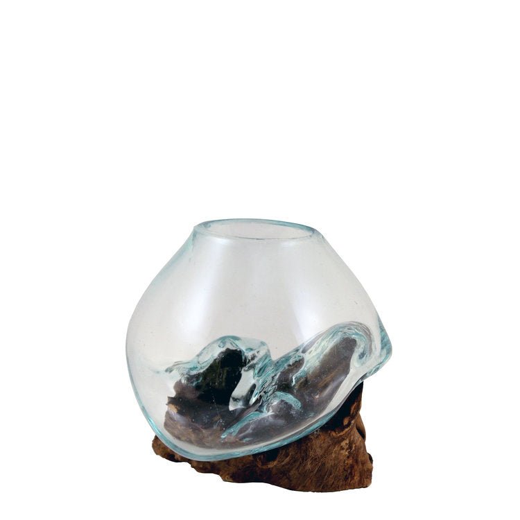 Hand Blown Molten Glass and Wood Root Sculptured Terrarium / Vase / Fish Bowl - inthegardenandmore.com