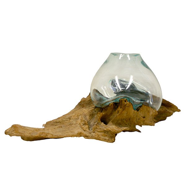 Hand Blown Molten Glass and Wood Root Sculptured Terrarium / Vase / Fish Bowl - inthegardenandmore.com