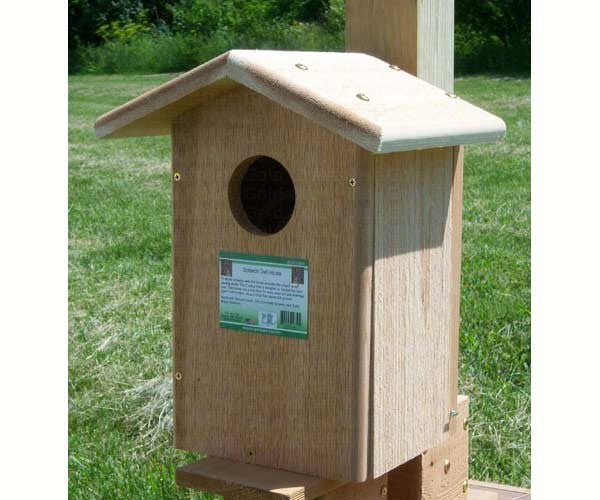 Handcrafted Cedar Screech Owl Birdhouse - inthegardenandmore.com