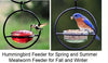 Hummingbird Feeder / Meal Worm Feeder Combination Bird Feeder - inthegardenandmore.com