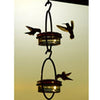 Hummingbird Feeder / Meal Worm Feeder Combination Bird Feeder - inthegardenandmore.com