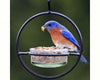 Hummingbird Feeder / Meal Worm Feeder Combination Bird Feeder - inthegardenandmore.com