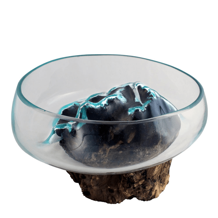 Medium Hand Blown Molten Glass and Wood Root Sculptured Succulent Bowl Terrarium (9”x9”) - inthegardenandmore.com