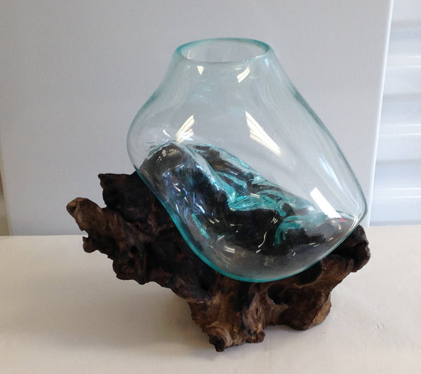 Medium Hand Blown Molten Glass and Wood Root Sculptured Terrarium / Vase / Fish Bowl (8x9”) - inthegardenandmore.com