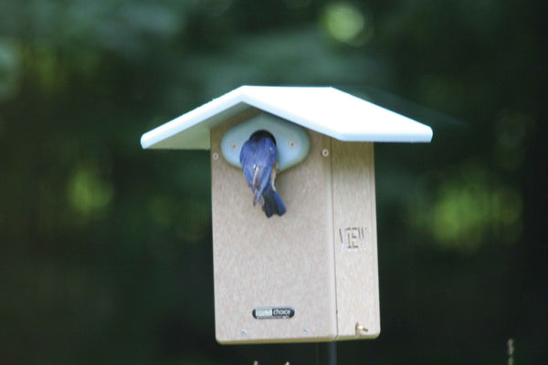 Recycled Poly Lumber Plastic Bluebird Bird House – Taupe and Blue - inthegardenandmore.com