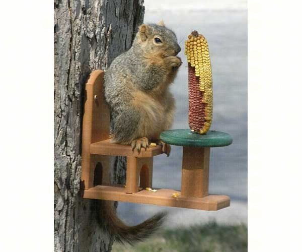 Recycled Poly Wood Squirrel Feeder - inthegardenandmore.com