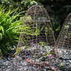 Rustic Wire Garden Plant Cloches, 20" tall, Pack of 6 - inthegardenandmore.com