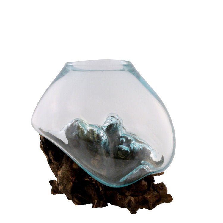 Small Hand Blown Molten Glass and Bleached Wood Root Sculptured Terrarium / Vase / Fish Bowl - inthegardenandmore.com