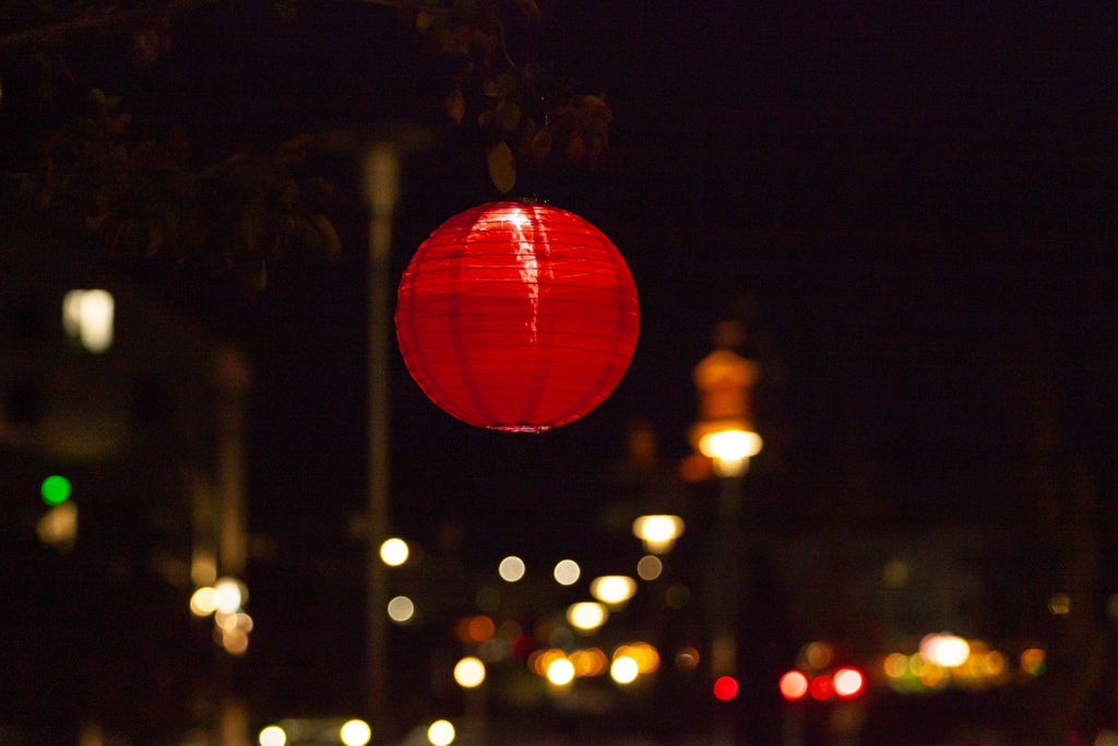 Soji Festival 12" Round Rechargeable Solar Lantern - inthegardenandmore.com