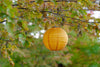 Soji Festival 12" Round Rechargeable Solar Lantern - inthegardenandmore.com