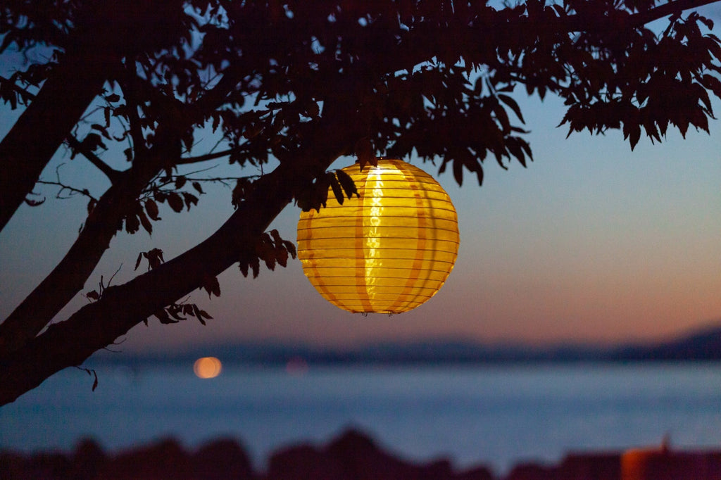 Soji Festival 12" Round Rechargeable Solar Lantern - inthegardenandmore.com