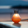 Solar LED Handblown Glass Lanterns - inthegardenandmore.com