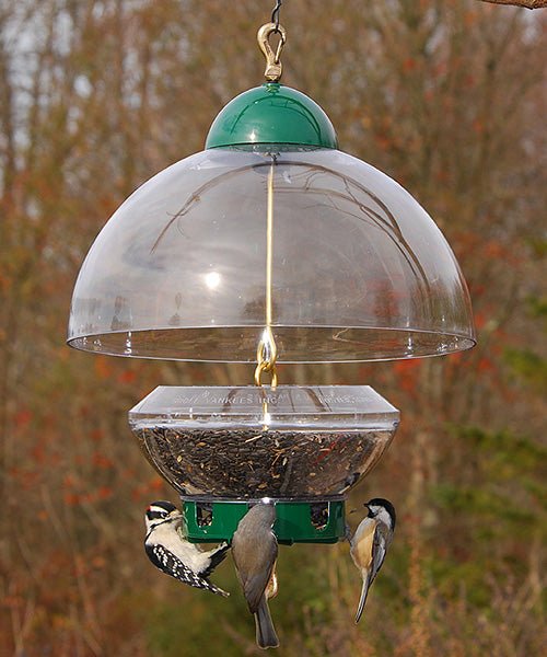 Squirrel Resistant Hanging Big Dome Top Bird Feeder - inthegardenandmore.com