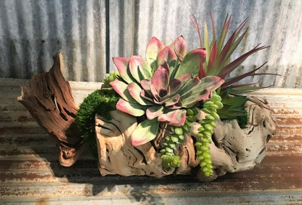 Succulent Blend Log Tabletop Centerpiece Decor - inthegardenandmore.com