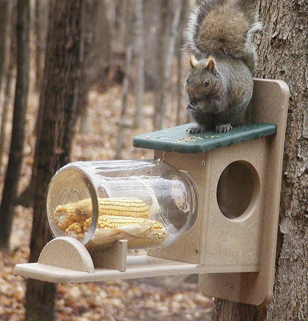 Two Tone Poly - Lumber Squirrel Jar Feeder - inthegardenandmore.com