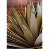 Yucca Succulent Plant Metal Yard Art Sculpture - inthegardenandmore.com