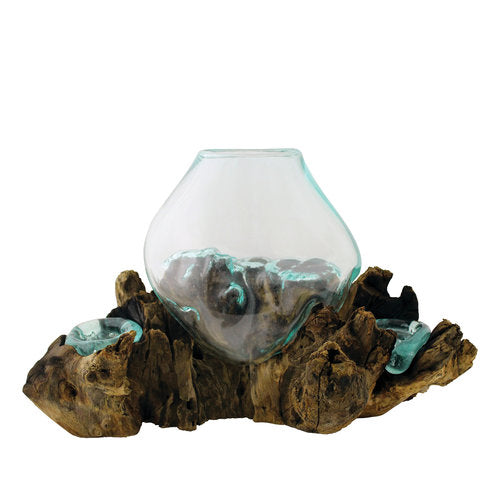 Betta Fish Bowl Unique Molten Glass on Teak Driftwood A110